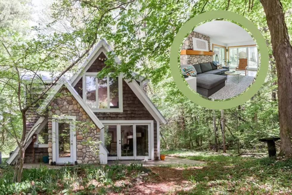 Charming Michigan Airbnb Cottage in the Woods Was Once a Rollercoaster