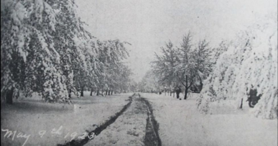 It’s Been 100 Years Since the Biggest May Blizzard That Ever Pounded Michigan