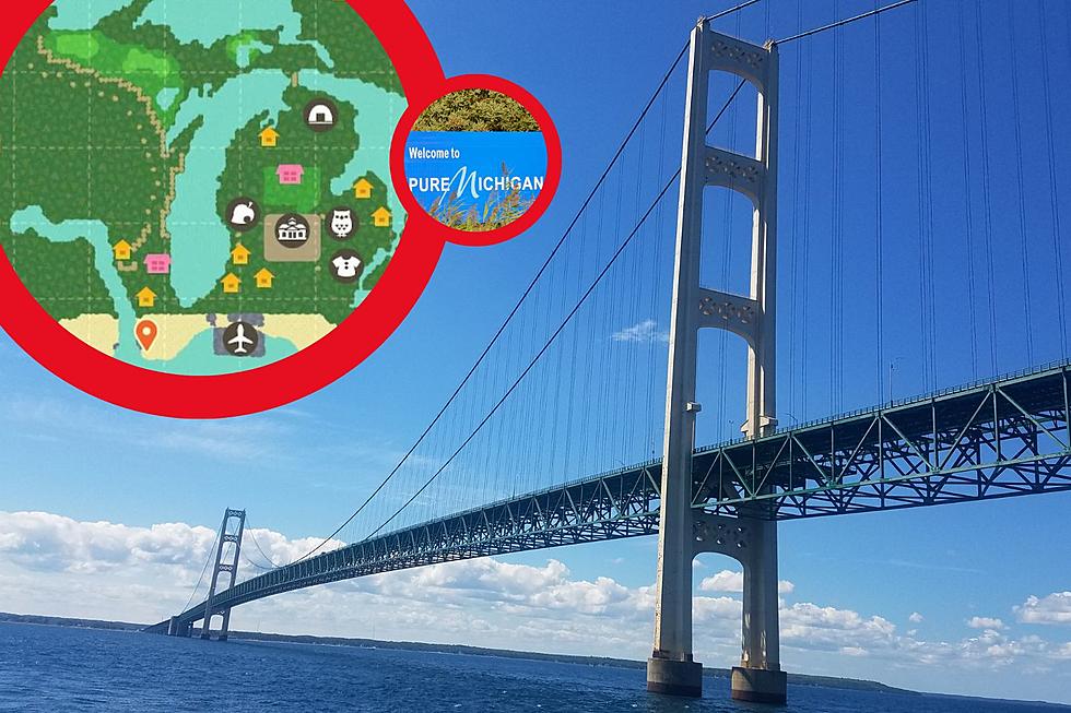 Flint & Michigan Featured in Animal Crossing Game. How to Visit.