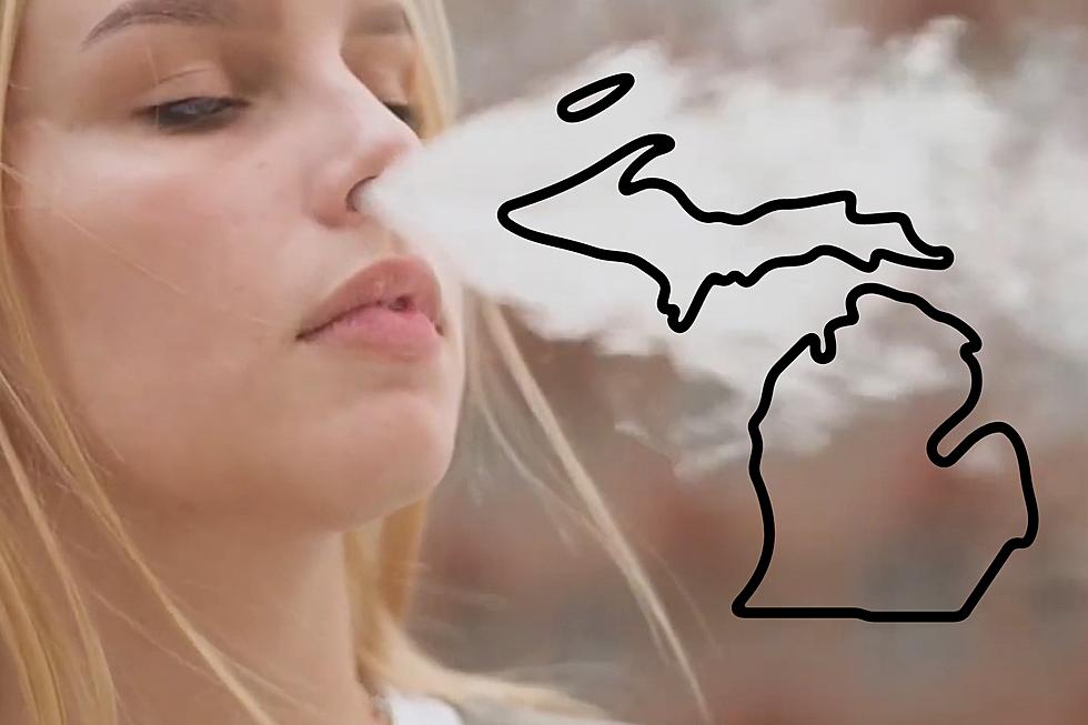 Michigan Lawmaker Pushes to Ban Vapes That Look Like Kids&#8217; Products