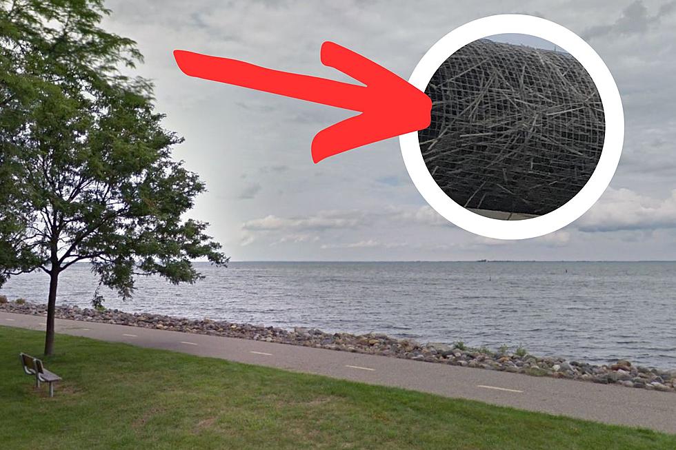 Michigan Is Curious, What's This Contraption Near Water?