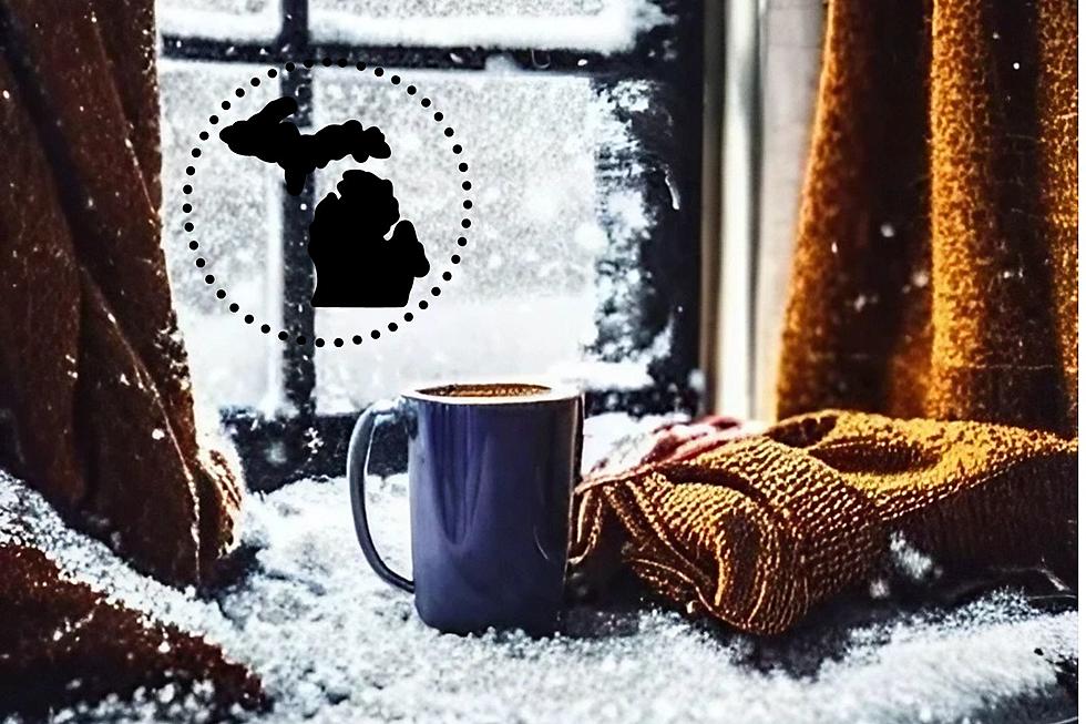 Two Michigan Towns Voted Top Coziest Places to Visit This Winter