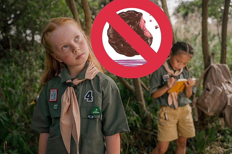 Why's a Popular Girl Scout Cookie Not Returning to Michigan?