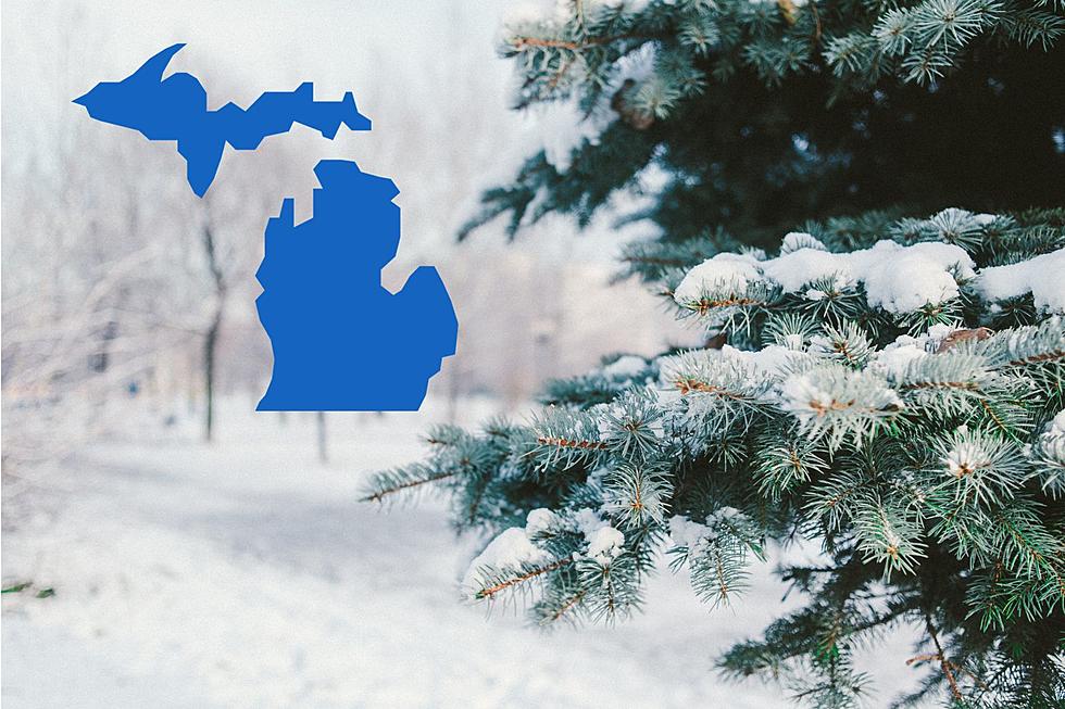 Legendary Summer Hot Spot Voted Top Winter Destination in Michigan