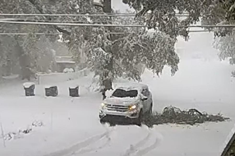 West Michigan Woman Gets Clobbered by a Snow Covered Tree Branch