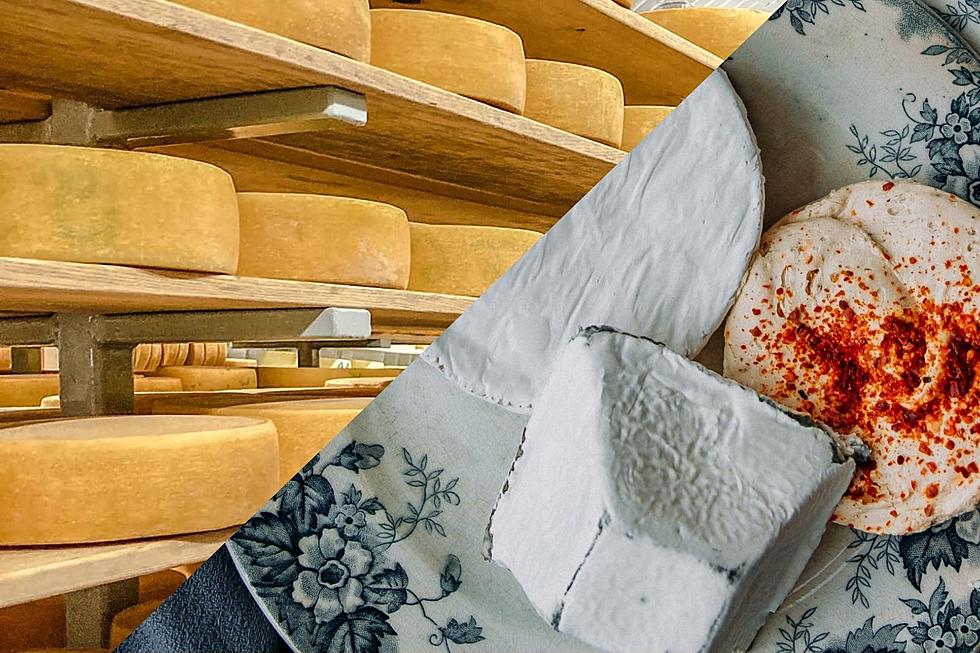 Michigan is Home to World-Renowned Artisan Cheese