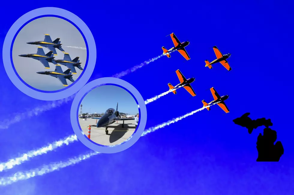 High-Flying Showdown! Top Air Shows in MI Battle for Best in U.S.