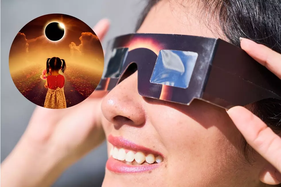 Hey Michigan! Yes You Can Do More with Those Eclipse Glasses