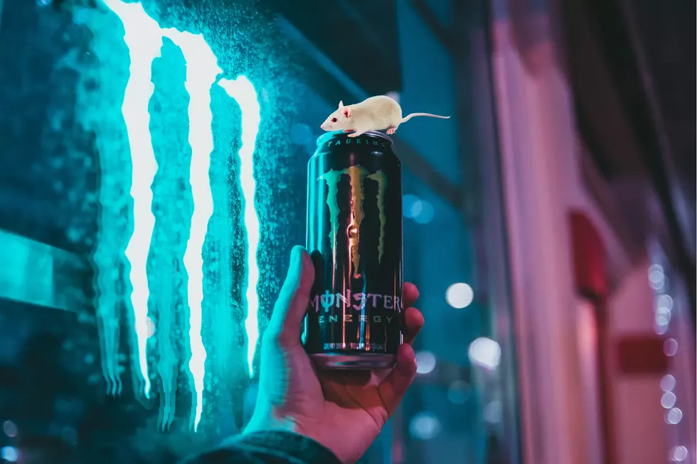Michigan Woman Sues Monster Energy Over Dead Mouse in Can