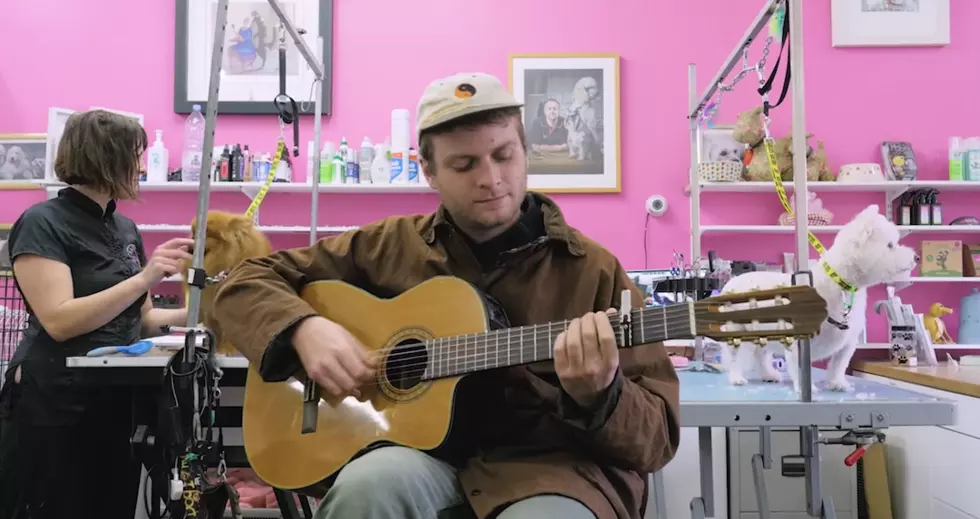 Mac DeMarco Serenades Dogs With 'This Old Dog'