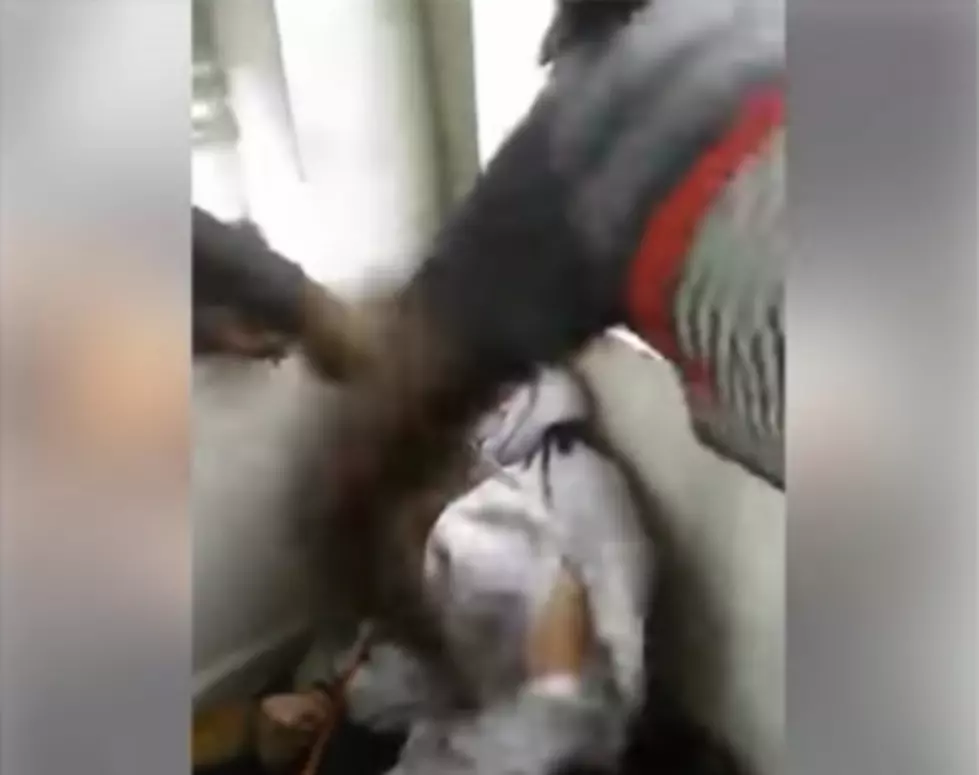 Four Black teens beat, torture mentally disabled White teen! [Video]