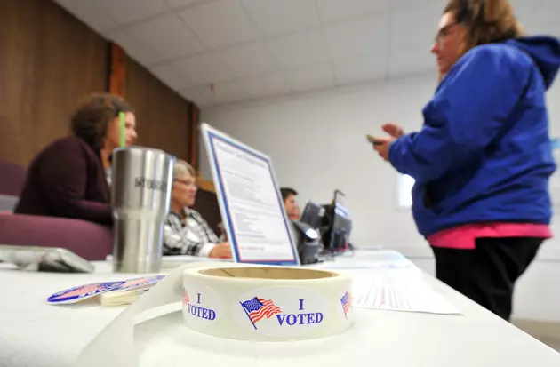 Michigan Turnout for Midterm Election is Highest in 56 Years