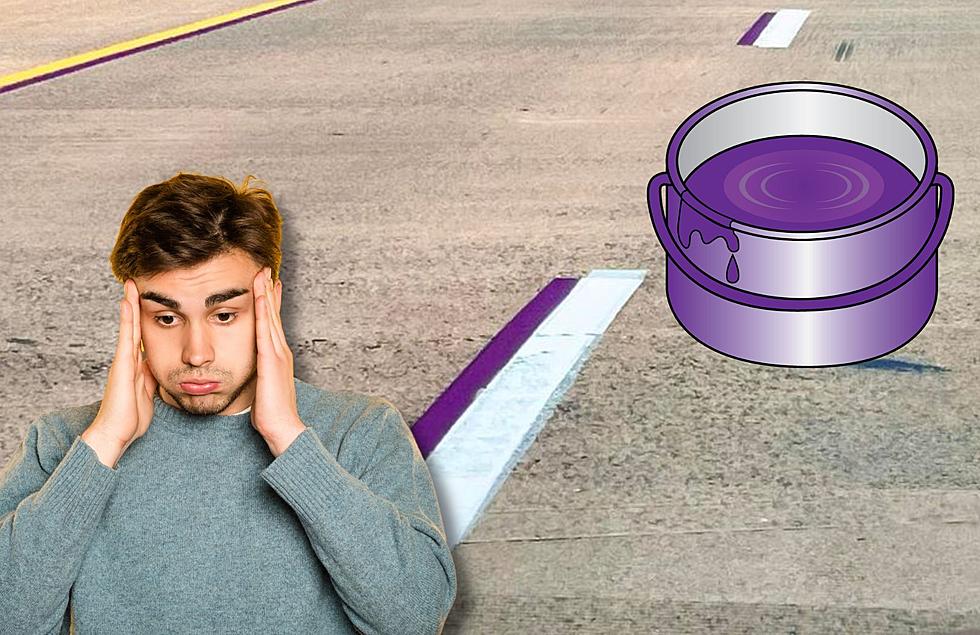 Michigan Drivers Are Totally Confused by Purple Paint on Highways – Here’s What It Means