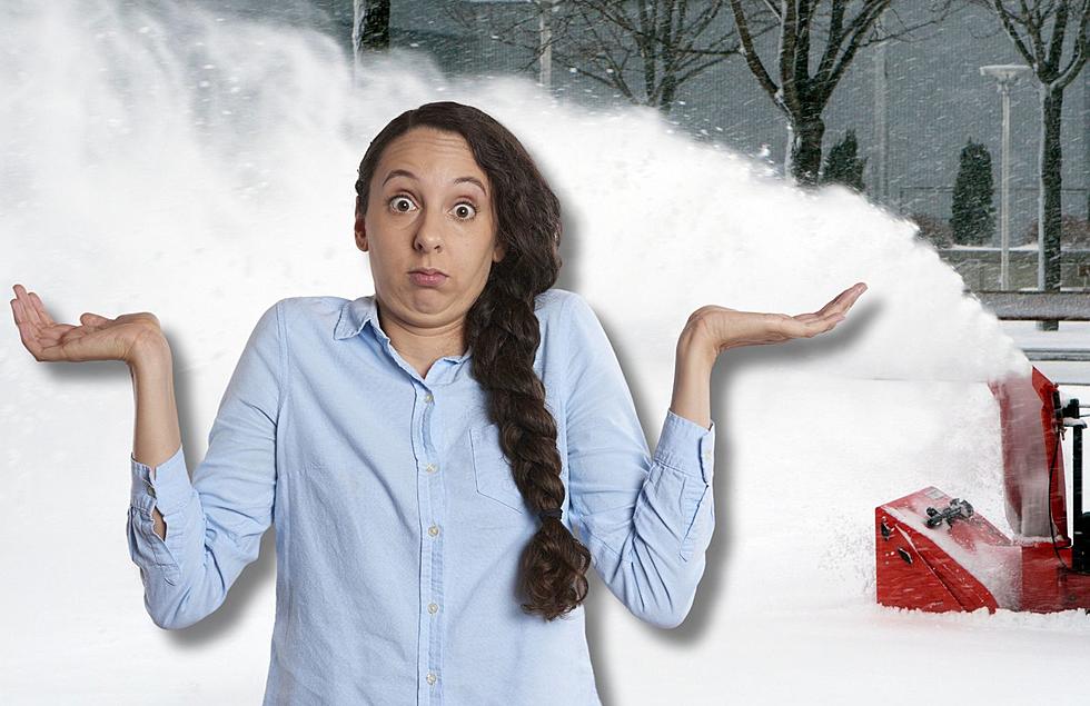 This Is The Best Time To Buy A Snow Blower In Michigan