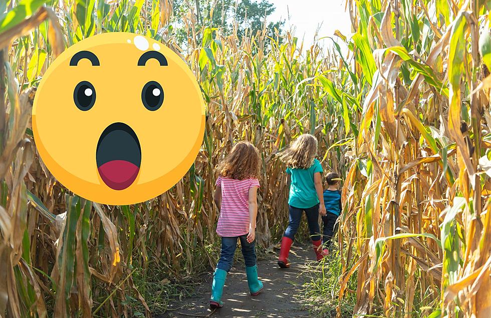 The World’s Largest Corn Maze Is Only 4 Hours Away From Grand Rapids