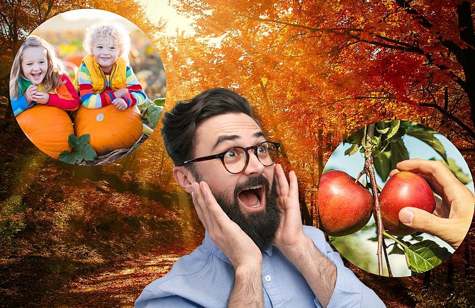 Have The Best Fall Ever With The Ultimate West Michigan Fall Bucket List
