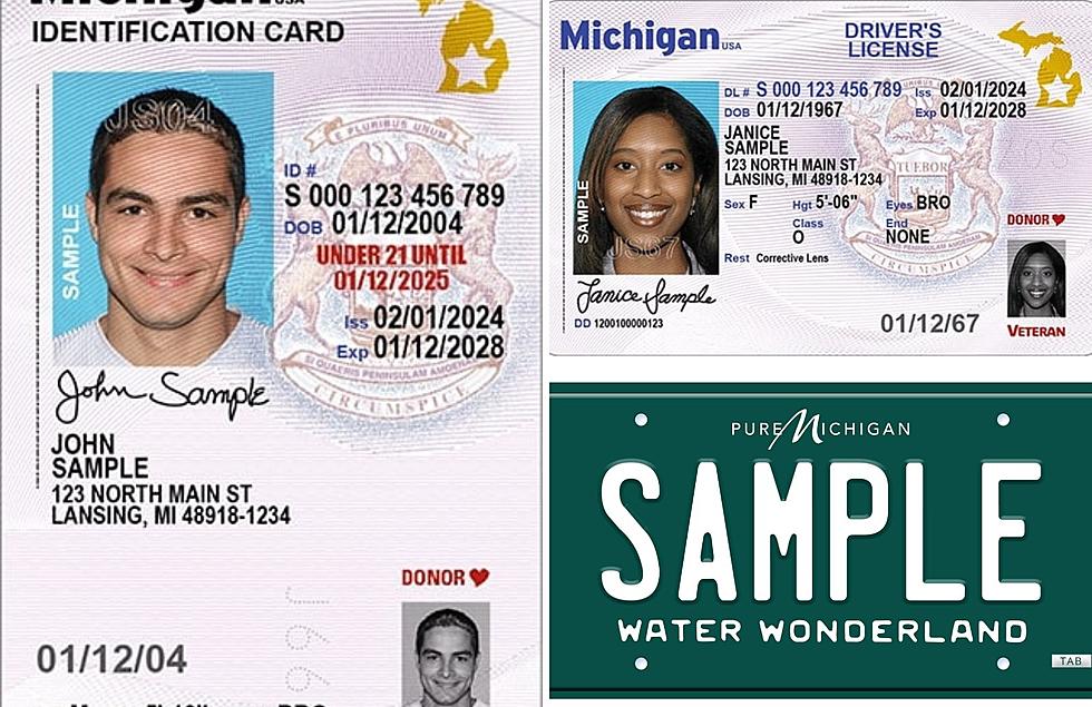 Michigan Department of State Launches Green and White License Plates