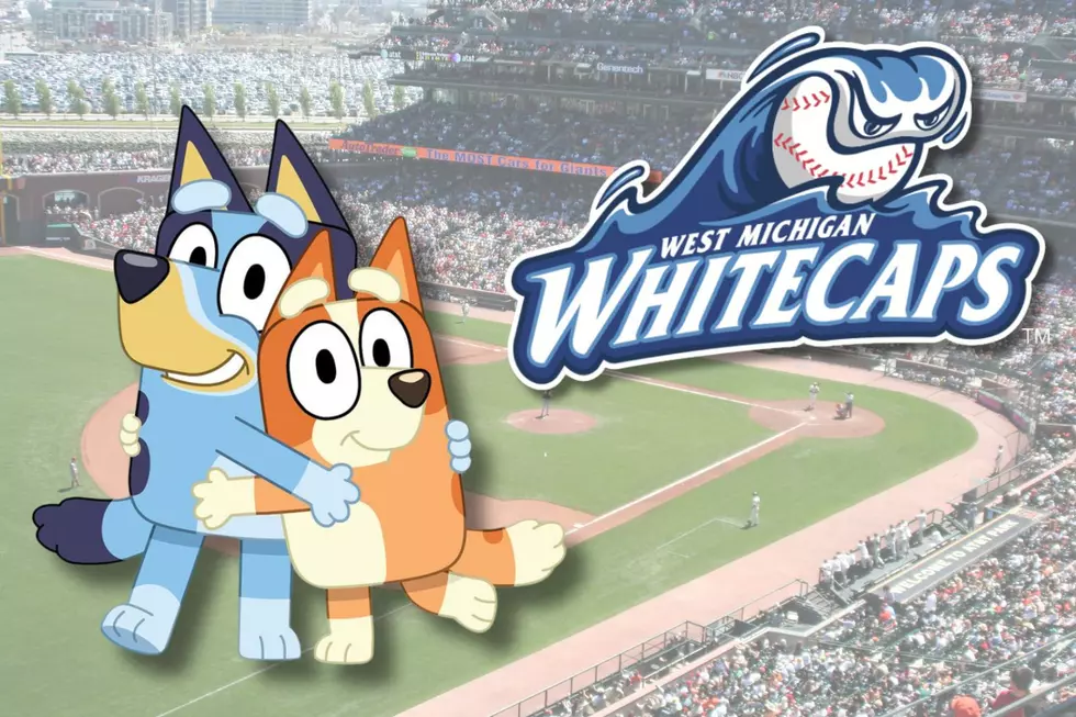 Get Stoked! Bluey Coming to the West Michigan Whitecaps