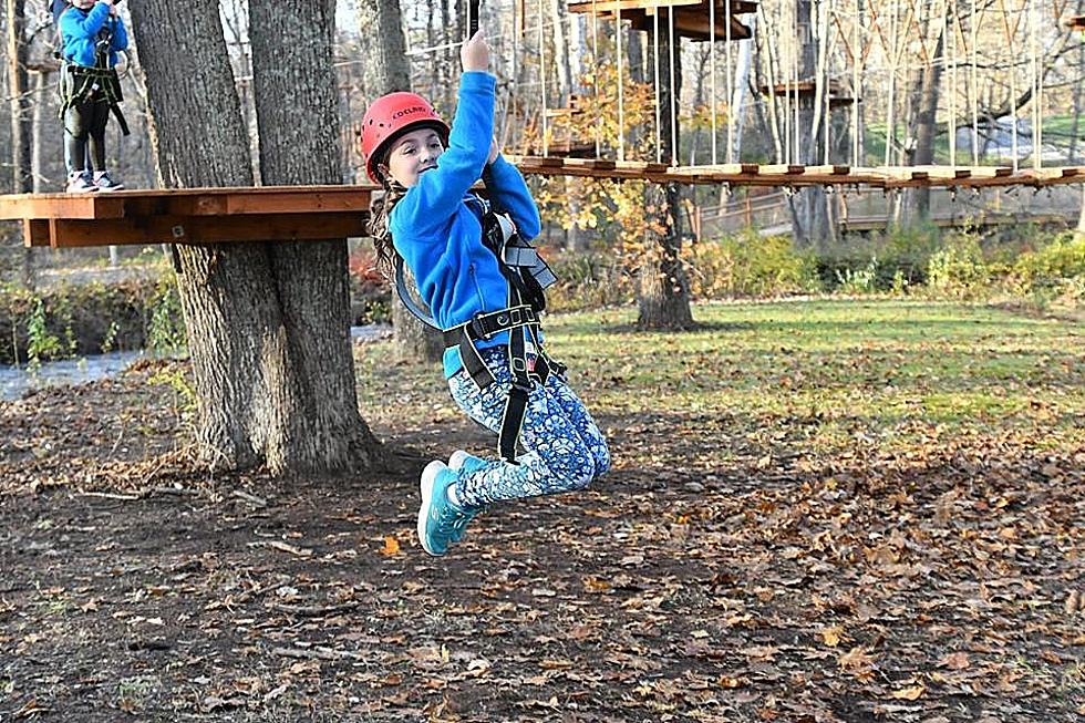 Face Your Fears at Tree Top Adventures