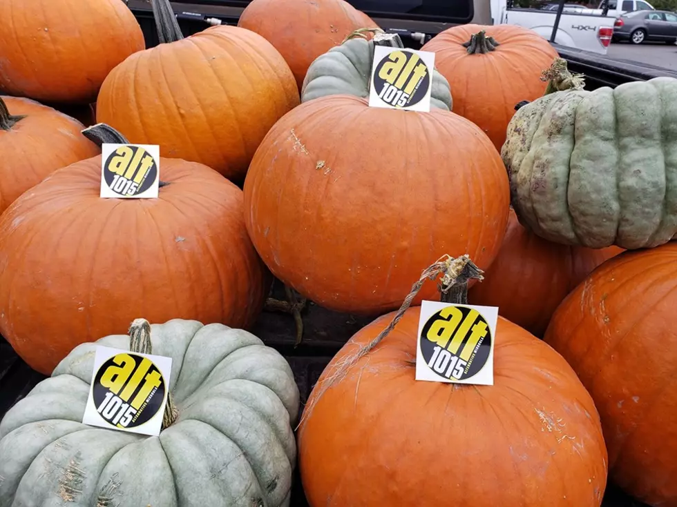 Stop by for a $10 Pumpkin this Saturday