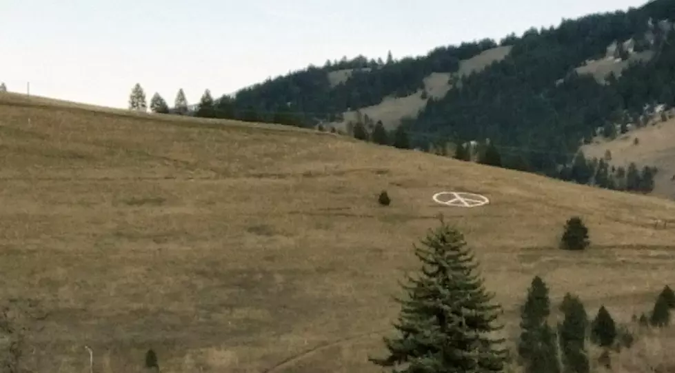 Missoula Responds to Swastika Placed on Waterworks Hill