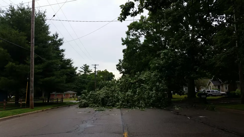 Overnight And Early Morning Storms Downed Trees And Lines Across Southwest Michigan