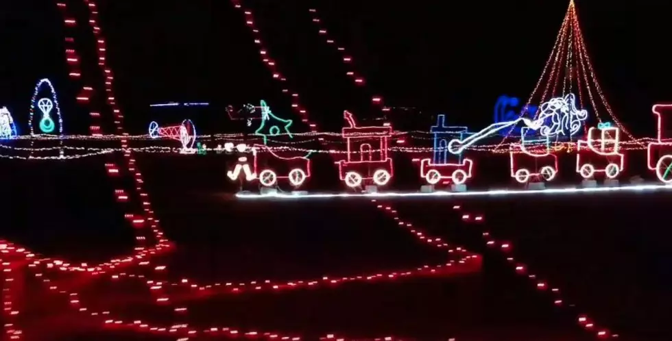 Get Lit and See the Lights on Grand Rapids’ B.Y.O.B. Christmas Trolley