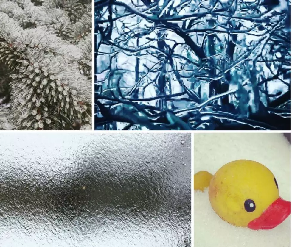These April Ice Storm Instagram Photos Will Make You Realize How Ridiculous This All Is