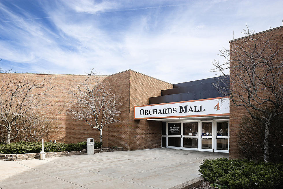 Want to Buy a Mall? Benton Harbor's Orchards is Up for Auction
