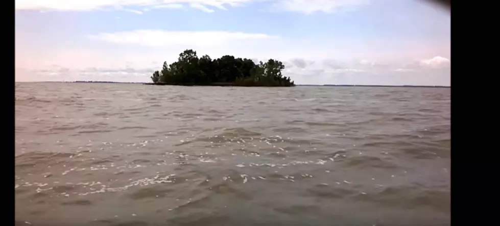 This Tiny Island Is Split Between Michigan and Ohio