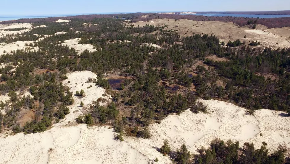 Ludington State Park Adds 100 Acres of Pure Michigan Sand Dunes