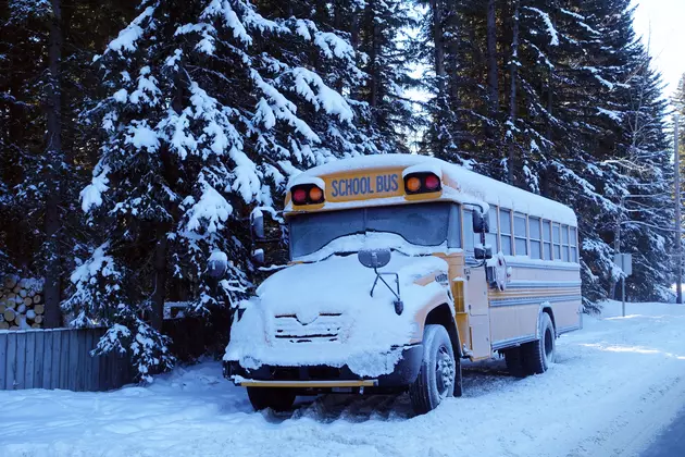 14 Michigan School Districts Band Together After Heavy Snow Crushes Bus Garage, Destroys Buses