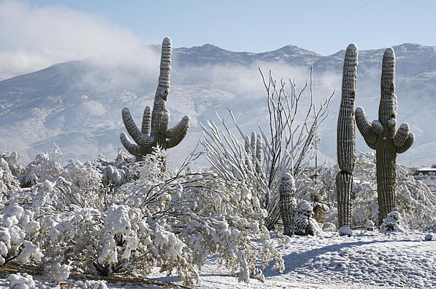 Arizona Gets Dusting of Snow, Newspaper Whines &#8216;We Might as Well Be Michigan&#8217;