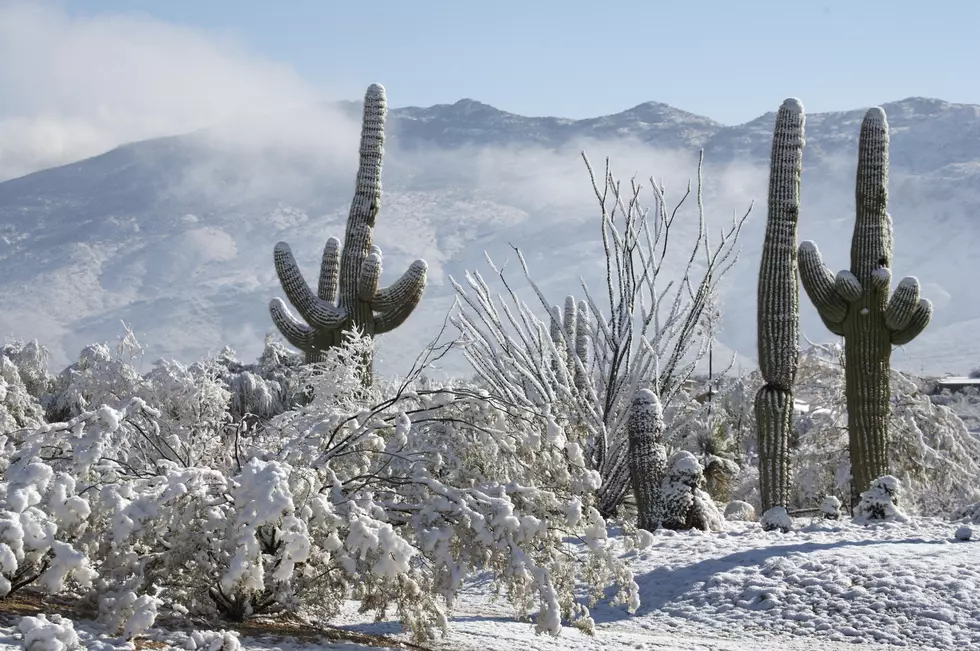 Arizona Gets Dusting of Snow, Newspaper Whines ‘We Might as Well Be Michigan’