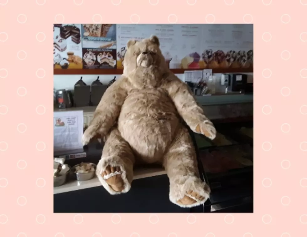 An Un-Bear-Able Caper Pulled Off At Portage Cold Stone Creamery
