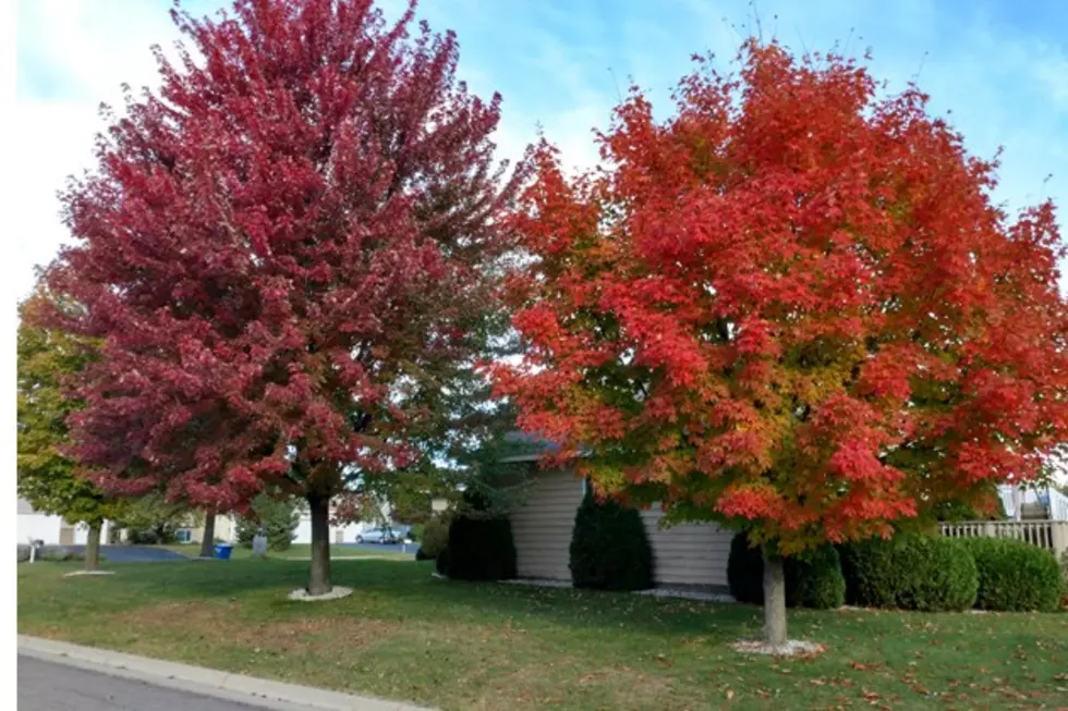 Minnesota ‘Fall Colors’ Ranked #2 in the Entire Country