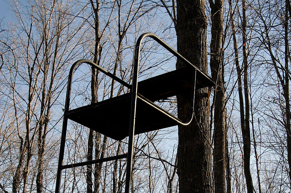 Desperate I Guess &#8211; Deer Stands are Getting Stolen in Minnesota