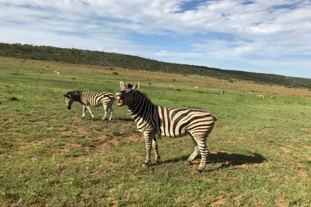 My Stay In South Africa Was Unforgettable (photos)