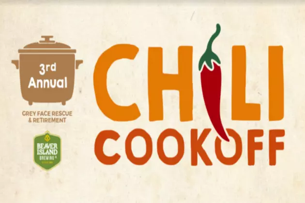 Grey Face Rescue Chili Cook-Off: Help Senior Dogs!