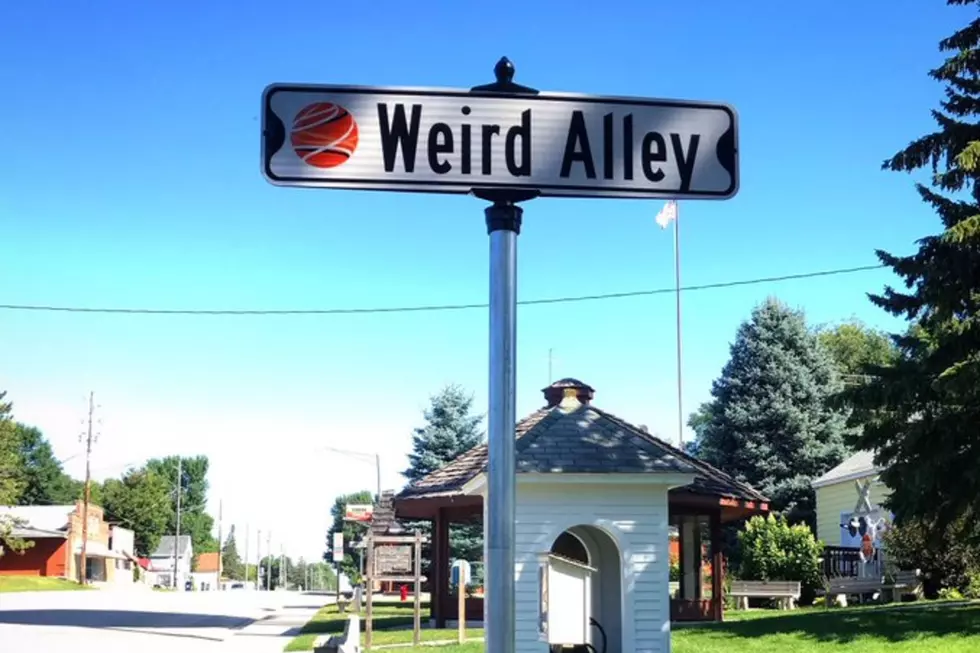 Darwin, MN Names Street after Weird Al