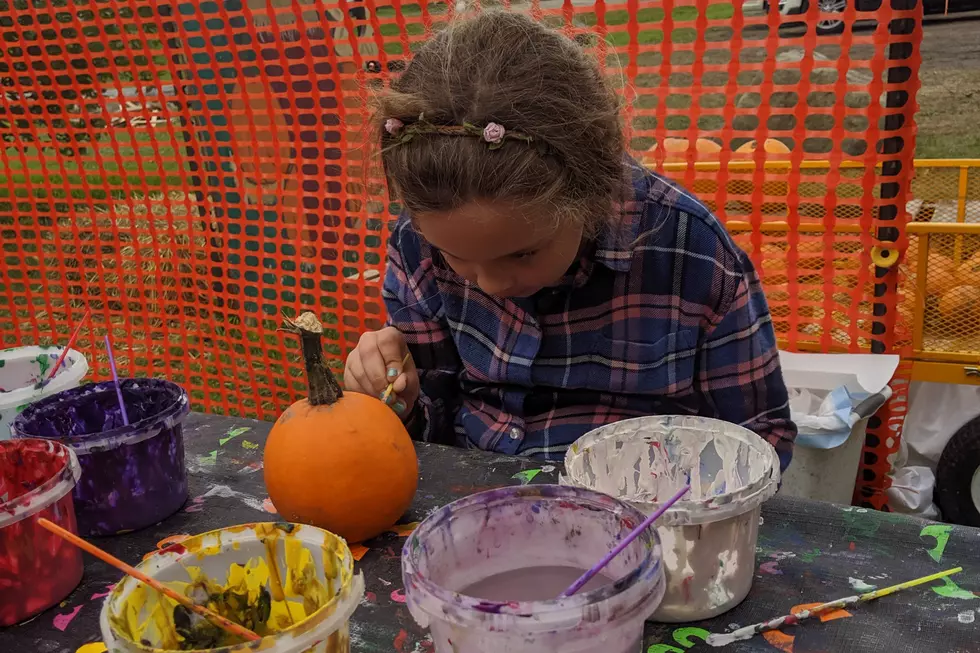 My Family had a Blast Painting Pumpkins at Collegeville Orchards