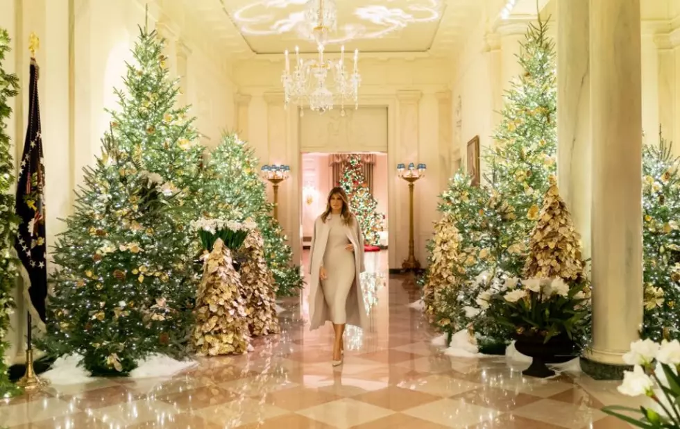 Want to See the White House Christmas Decorations?