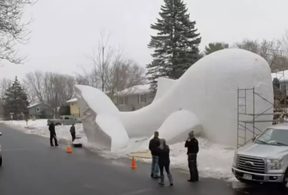 Massive Snow Whale in Minnesota