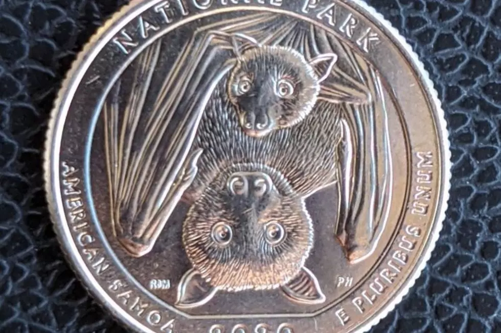 Why The Heck Are There Bats on the New U.S. Quarter? Explained