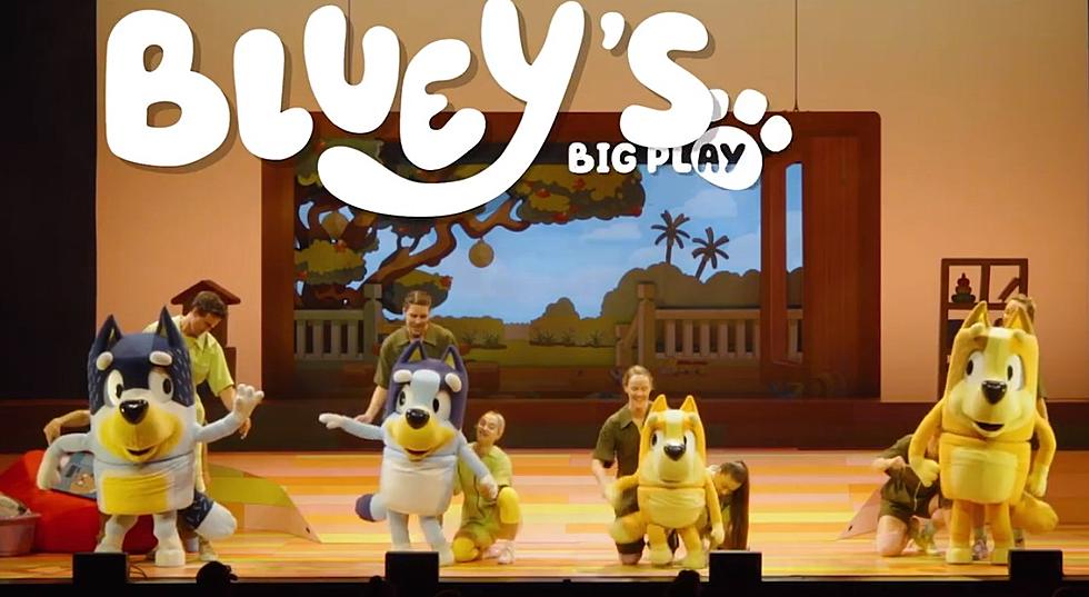 Bluey Stage Show Coming To Minneapolis