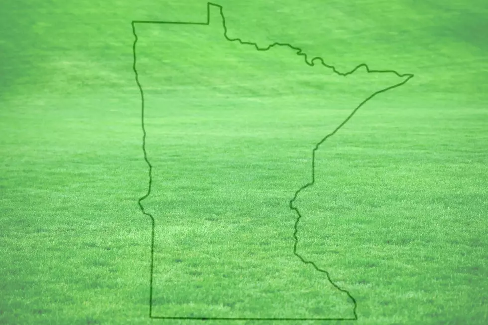 Ranking Says Minnesota is in the Top 5 Best States to Live