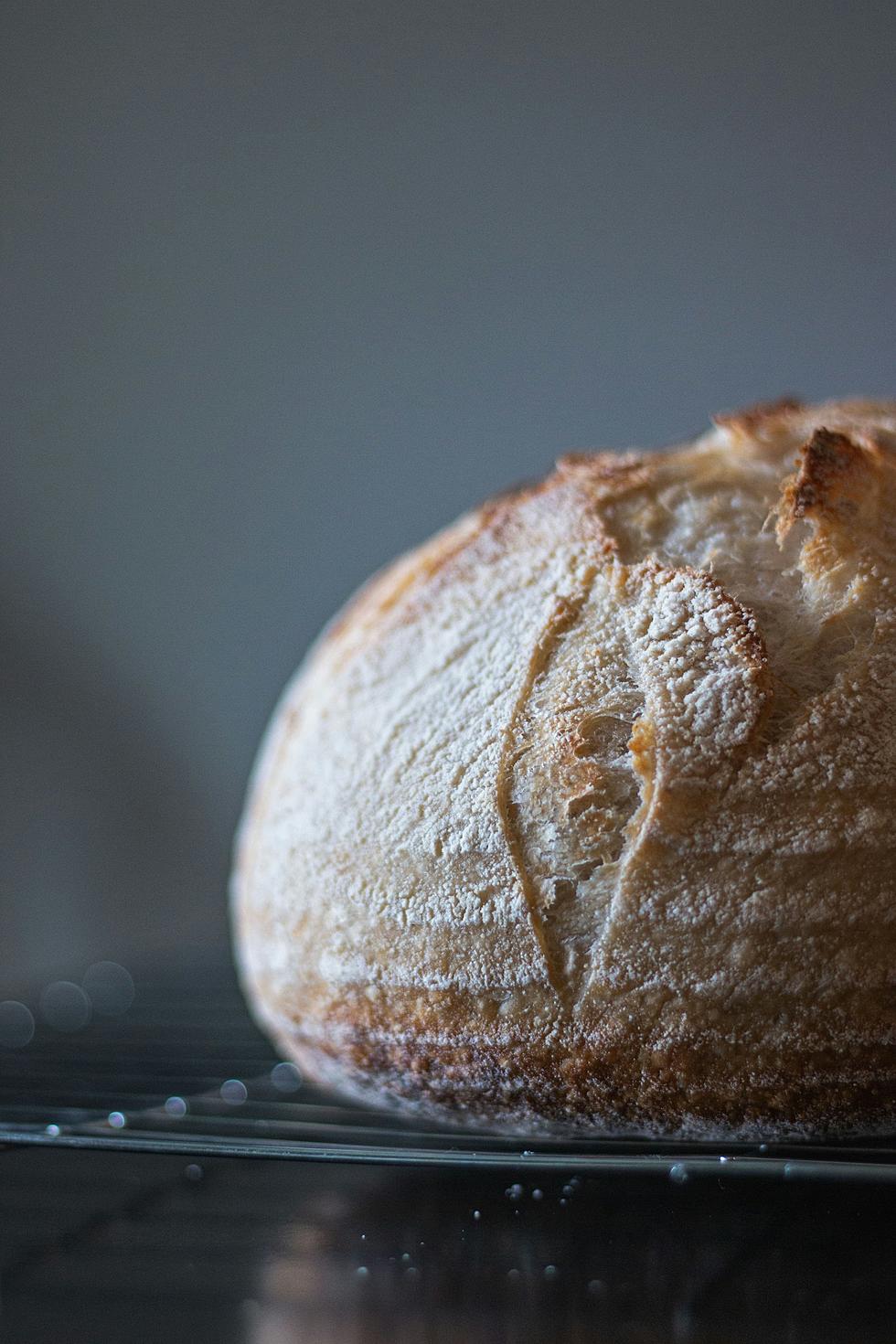 Minnesota's New Craze: Making Sourdough Bread