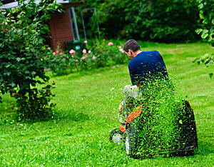 New York Lawn Mower Law Can Mean Life Or Death