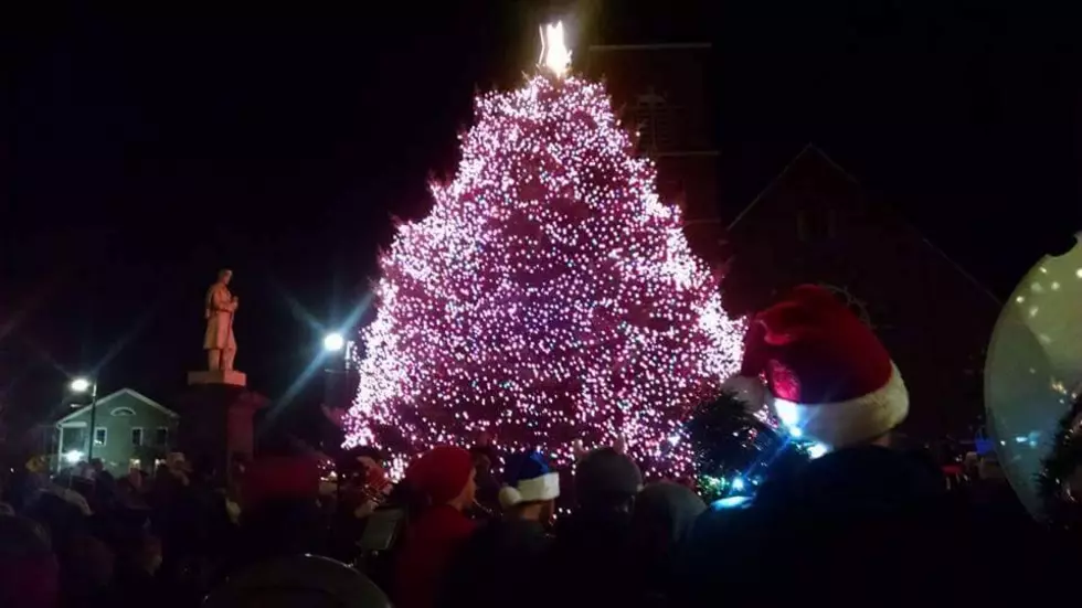 Pittsfield & North Adams Searching For Christmas Trees