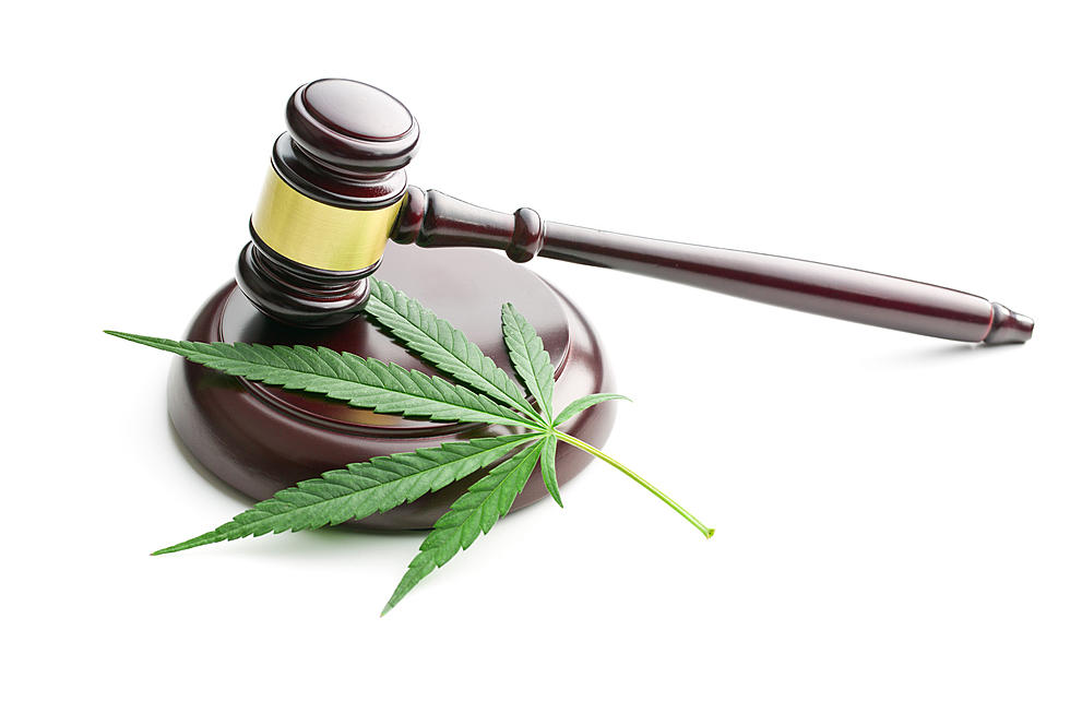 Pothead Sparks Up A Joint In Court in Front of the Judge